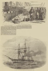 The Royal Wilts Militia